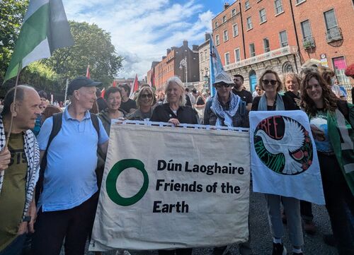 PXL_20250719_122334021_crop